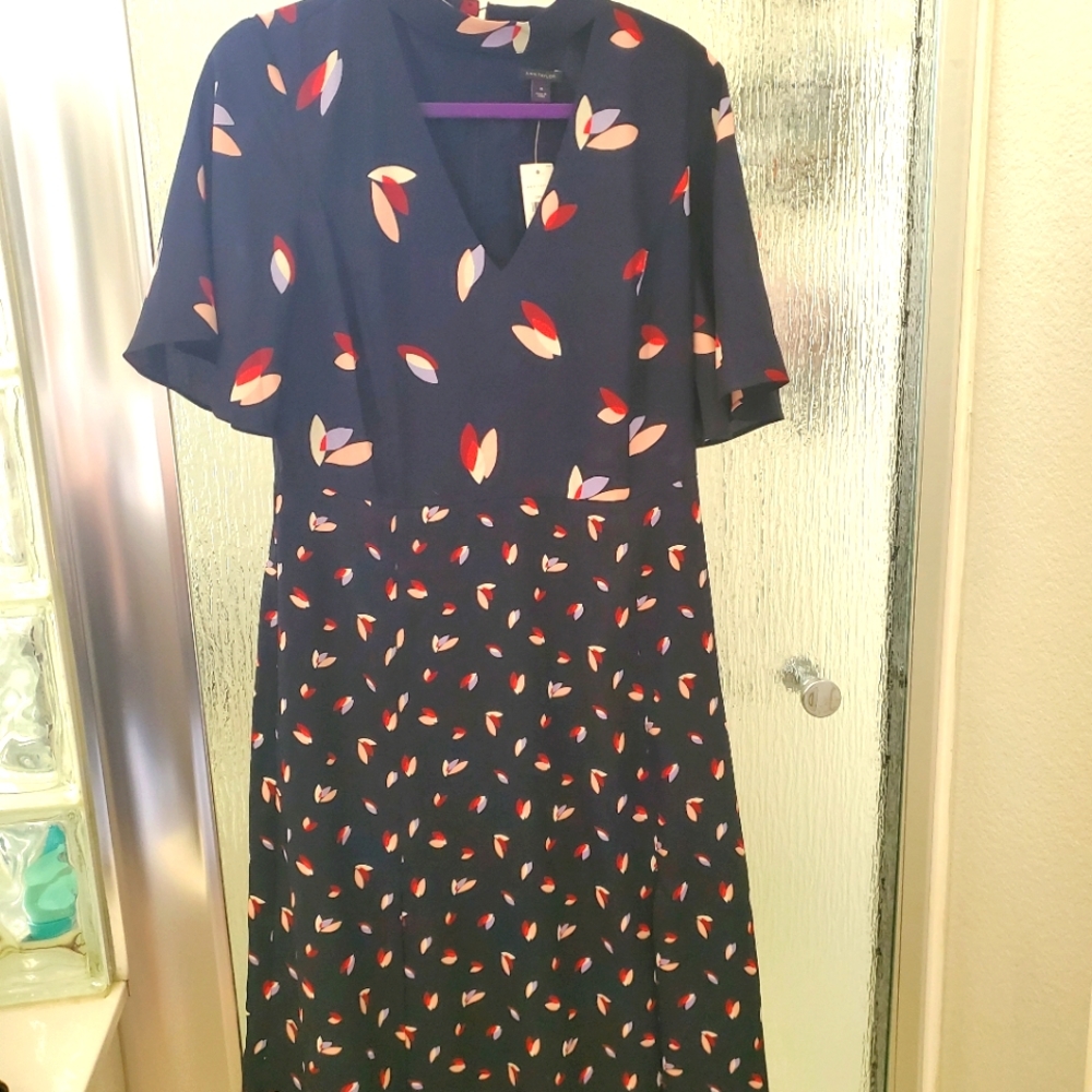 Ann Taylor Dress